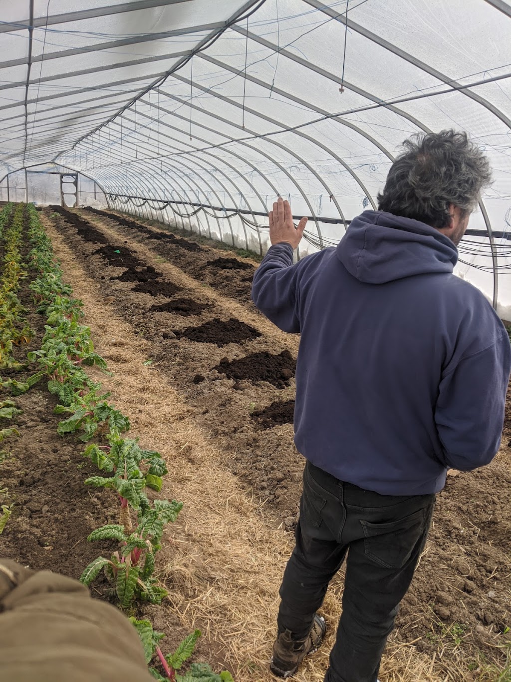 Plan B Organic Farms | 1377 5th Conc, Hamilton, ON N0B 1L0, Canada | Phone: (905) 659-2572