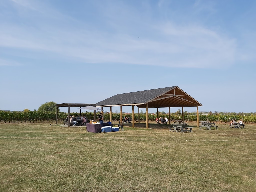 Back 10 Cellars | 4101 King St, Beamsville, ON L0R 1B1, Canada | Phone: (905) 562-3365