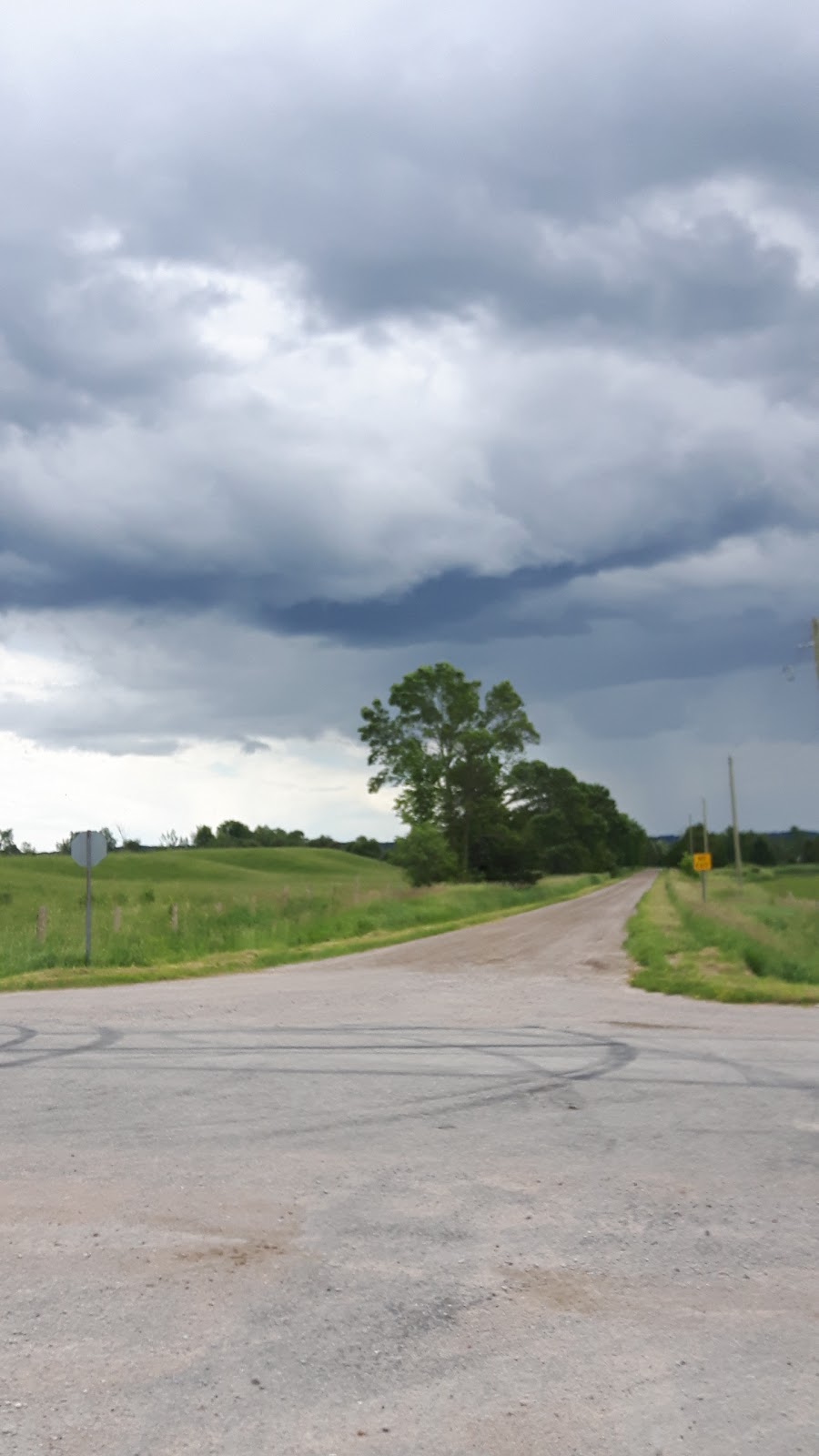 Pinegrove Farm | 2622 Ronald Rd, Minesing, ON L0L 1Y0, Canada | Phone: (705) 331-5616