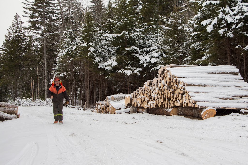 Growing Forests | 7748 Nova Scotia Trunk 7, Musquodoboit Harbour, NS B0J 2L0, Canada | Phone: (902) 817-1139
