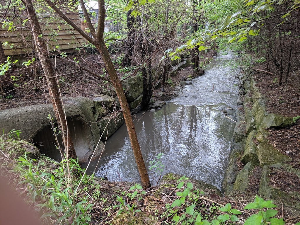 Forest Hill Park | 255 Westmount Rd E, Kitchener, ON N2M 4Z2, Canada