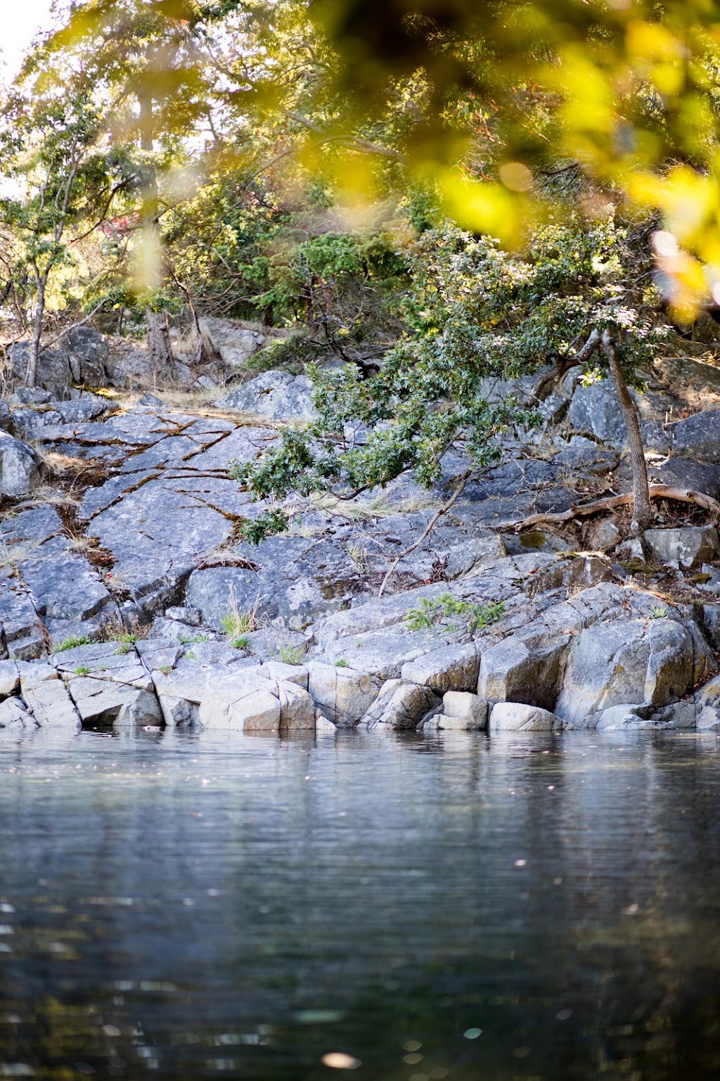 Kelsey McPherson Real Estate | Hwy, 173 Island Hwy W, Parksville, BC V9P 2H1, Canada | Phone: (250) 619-1411