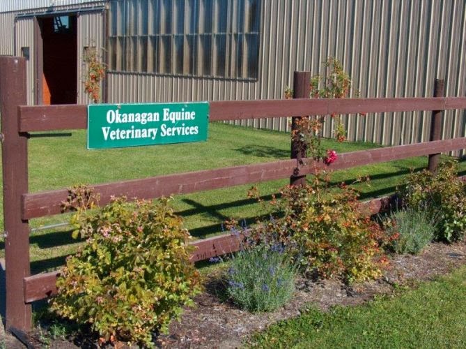 Okanagan Equine Veterinary Services | 4656 Wallace Hill Rd, Kelowna, BC V1W 4C2, Canada | Phone: (250) 764-9888
