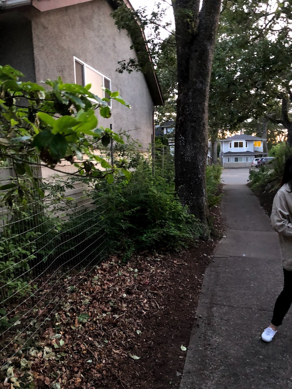 Emerson’s Way | 1706 Emerson St, Victoria, BC V8R 2C3, Canada