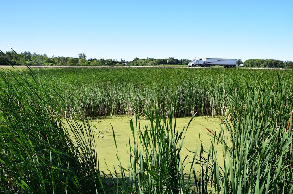 Cypress River Millennium Park | MB-2, Cypress River, MB R0K 0P0, Canada | Phone: (204) 786-2688