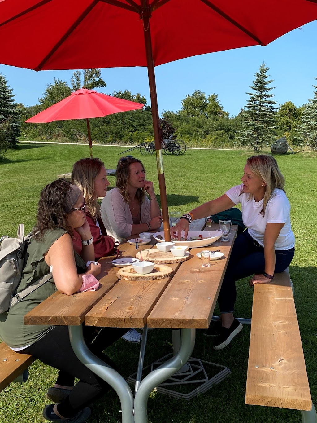 Blue Mountain & Collingwood Adventure Tours | 245 Raglan St Unit 100, Collingwood, ON L9Y 3Z1, Canada | Phone: (705) 446-5824