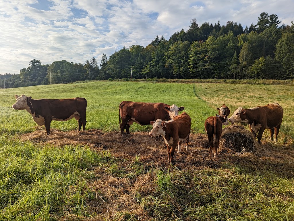 Ferme de la rivière | 437 Rang St Denis, Saint-André-Avellin, QC J0V 1W0, Canada | Phone: (819) 360-6336