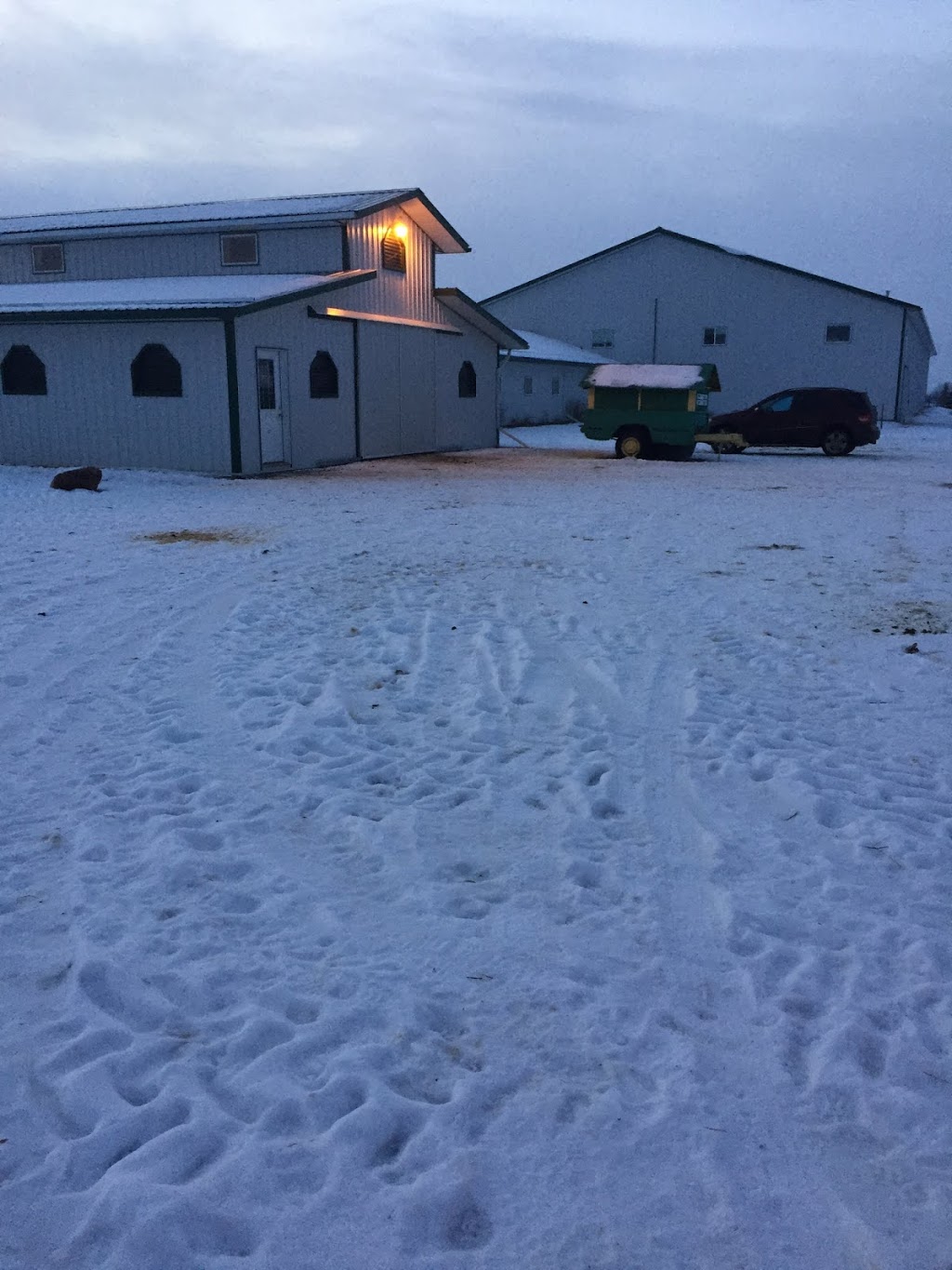 Kaspian Equestrian | Box 26 Site 7 RR3, Olds, AB T4H 1P4, Canada | Phone: (403) 556-3478