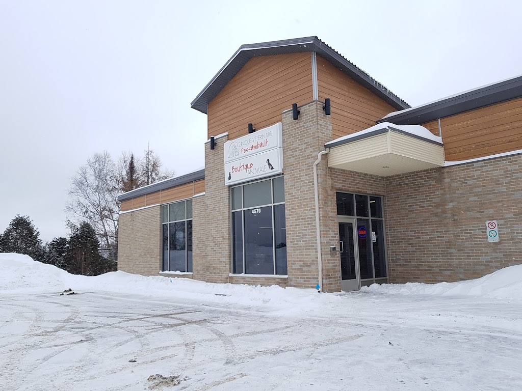 Lavage de vitres Portneuf | 3 Chem. des Sapins, Lac-Beauport, QC G3B 1Z9, Canada | Phone: (581) 849-4004