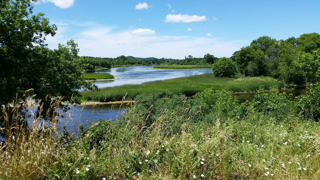 Linear Park | 825 Lowther St S, Cambridge, ON N3H 1Z7, Canada