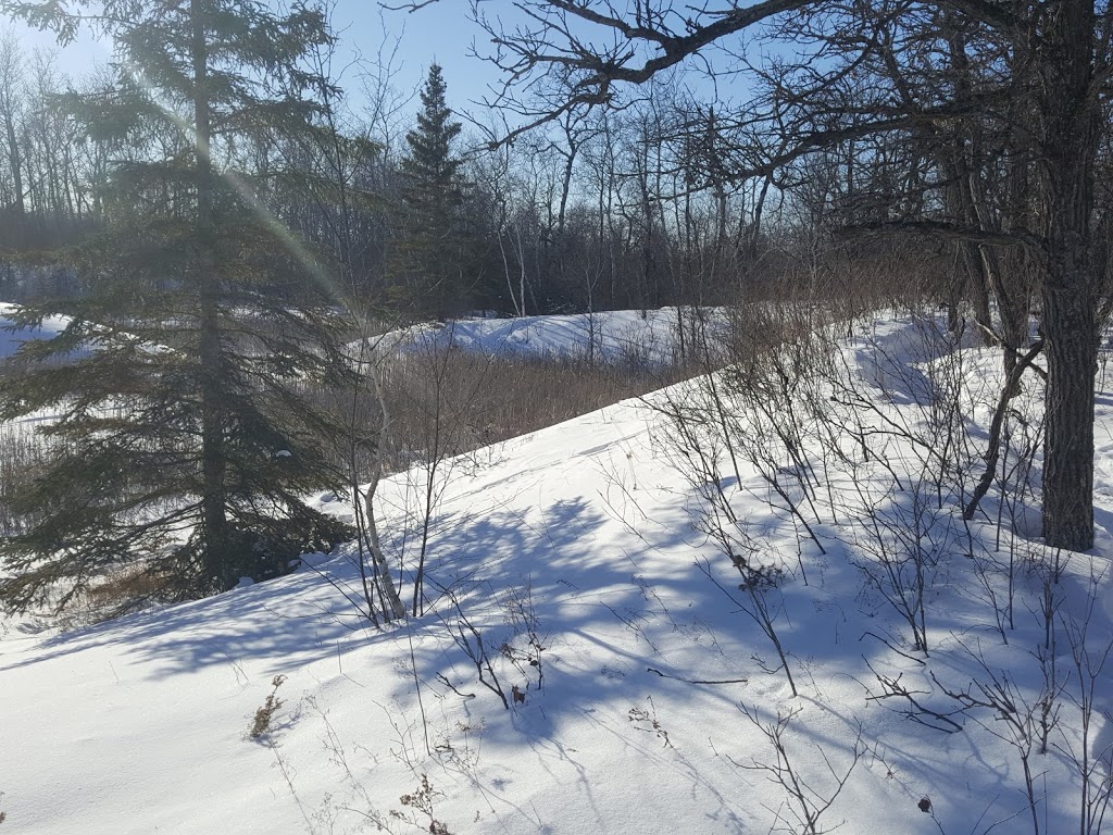 Nimowin Self-Guiding Trail | Nimowin Rd, Oakbank, MB R0E 1J0, Canada | Phone: (866) 626-4862