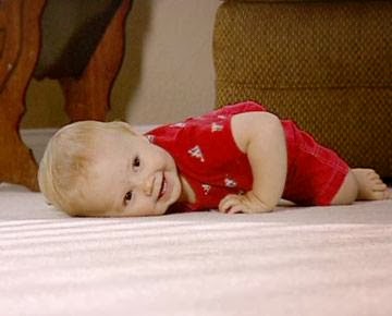 Vancouver Carpet Cleaning | 2081 W 37th Ave, Vancouver, BC V6M 1N7, Canada | Phone: (778) 373-9760