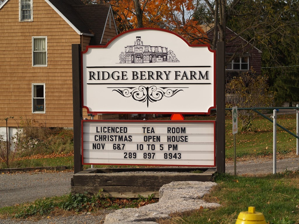 Ridge Berry Farm | 398 Canboro Rd, Ridgeville, ON L0S 1M0, Canada | Phone: (289) 897-8943