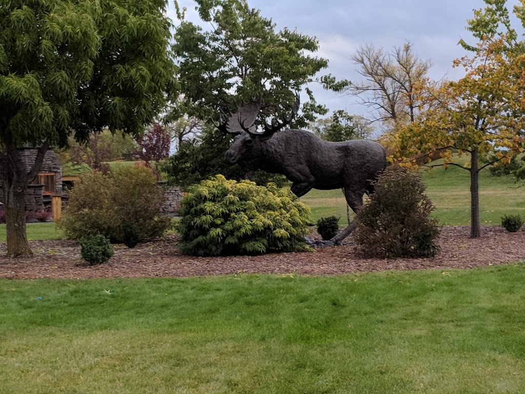 Kelburn Farm | Ritchot, MB R5A 1K2, Canada | Phone: (204) 269-2799