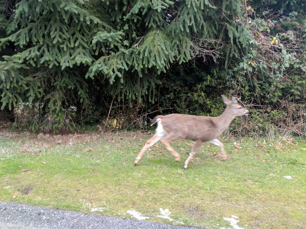 Glen Oaks Park 1 | 3655 Glen Oaks Dr, Nanaimo, BC V9T 5L3, Canada | Phone: (250) 754-4251