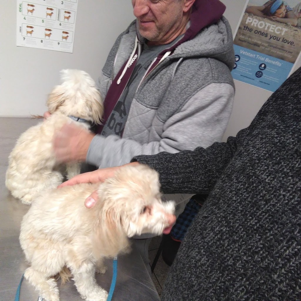 Queensdale Animal Hospital | 538 Upper Wellington St, Hamilton, ON L9A 3P5, Canada | Phone: (905) 575-0538