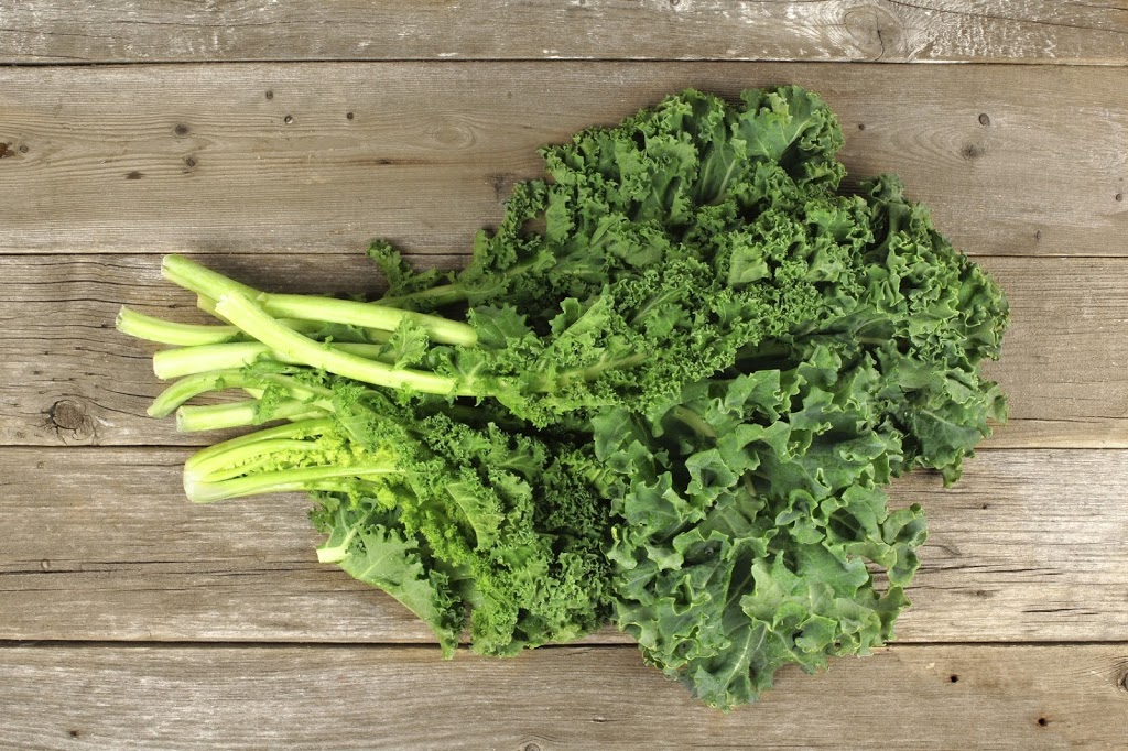 Strong Nutrition & Weight Loss | 466 Speers Rd, Oakville, ON L6K 3W9, Canada | Phone: (416) 887-0848