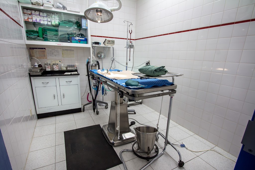 Prince Of Wales Animal Hospital | 888 Meadowlands Dr E, Ottawa, ON K2C 3R2, Canada | Phone: (613) 226-3200