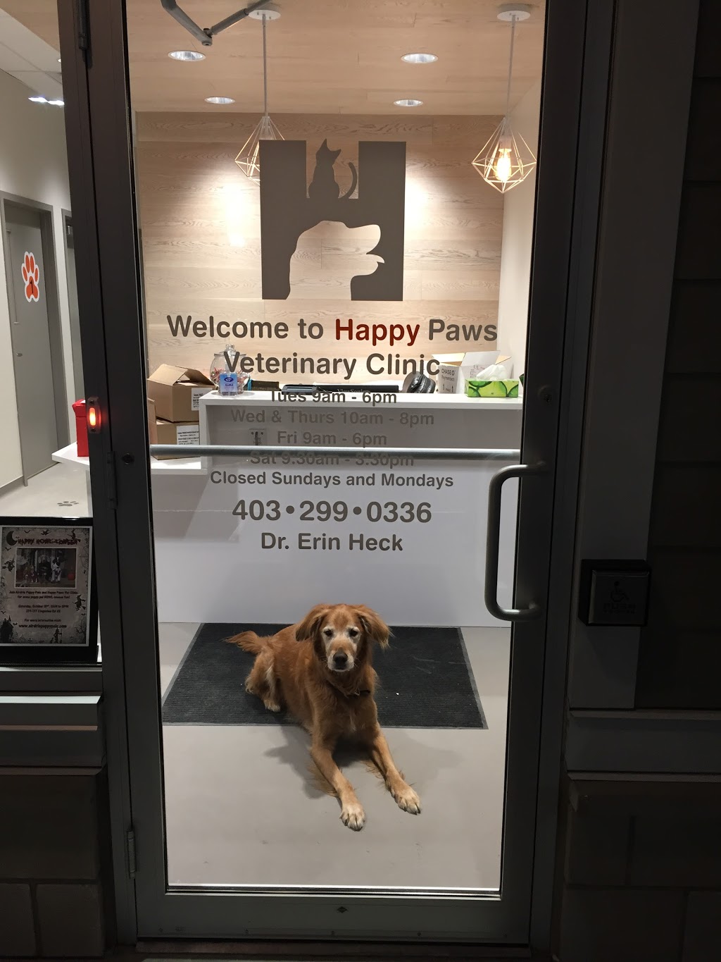 Happy Paws Vet Clinic | 1301 8 St SW #5, Airdrie, AB T4B 3Y2, Canada | Phone: (403) 299-0336