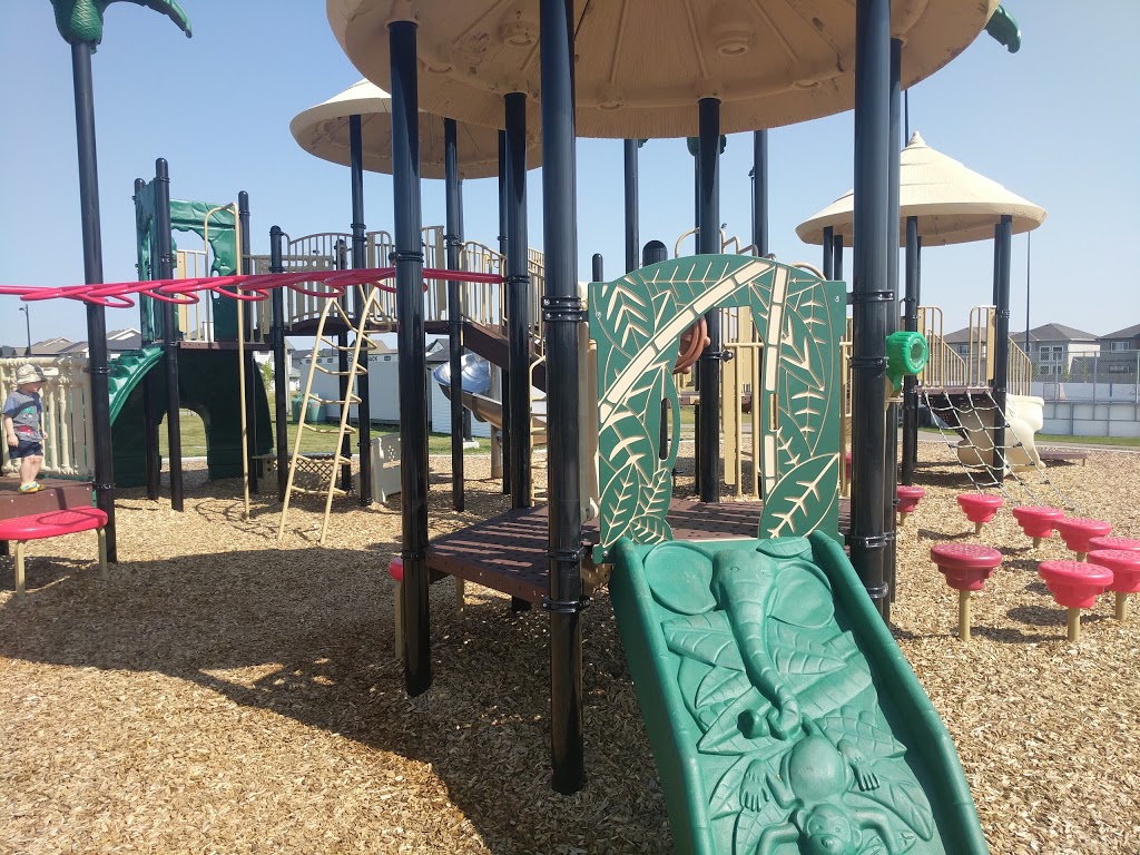Playground | Allard, Edmonton, AB T6W 1A8, Canada