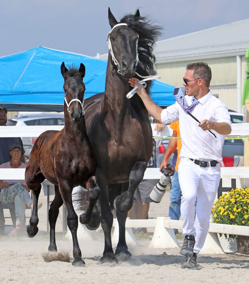 Kraak Farms | 344071 Ebenezer Rd, Mount Elgin, ON N0J 1N0, Canada | Phone: (519) 485-3568