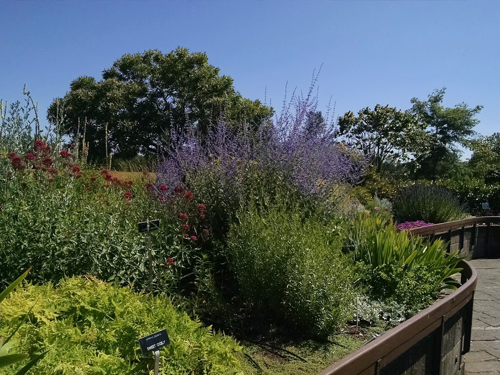 Tennant Lake Park | Ferndale, WA 98248, USA | Phone: (360) 384-4723