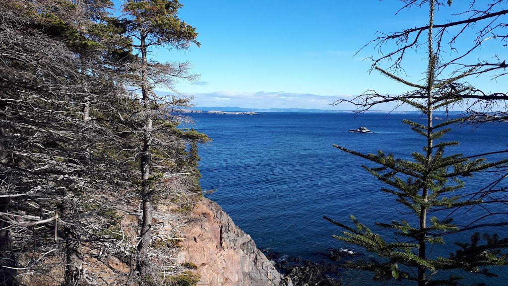 Pirates Path Trail | Mosquito Hill, Harbour Grace, NL A0A 2M0, Canada