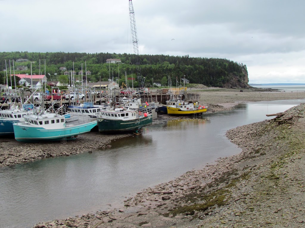 Fundy General Store | 8604 Main St, Alma, NB E4H 1N5, Canada | Phone: (506) 887-2345