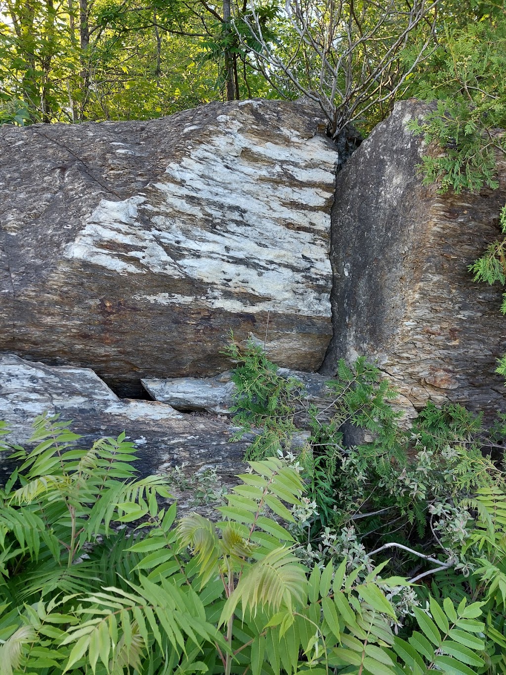 Canadian Shield Gallery | 5948 Ardoch Rd, Ardoch, ON K0H 1C0, Canada | Phone: (613) 206-4868