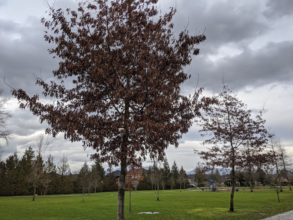 Frost Road Park | 8607 164a St, Surrey, BC V4N 1C7, Canada | Phone: (604) 591-4011