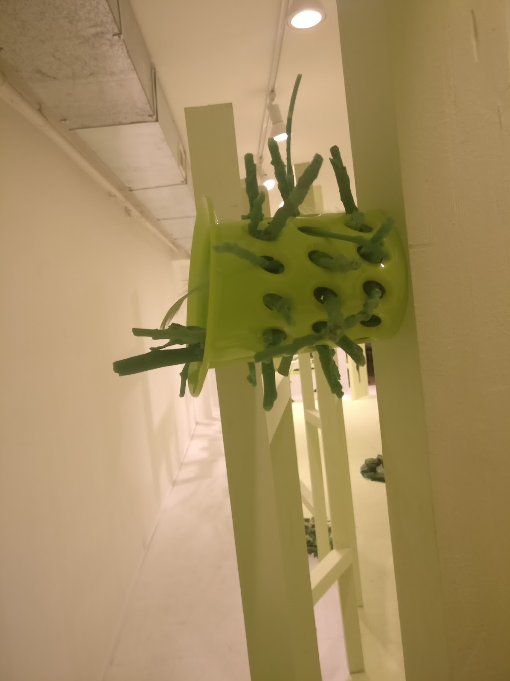 Forest City Gallery | 258 Richmond St, London, ON N6B 2H7, Canada | Phone: (519) 434-5875