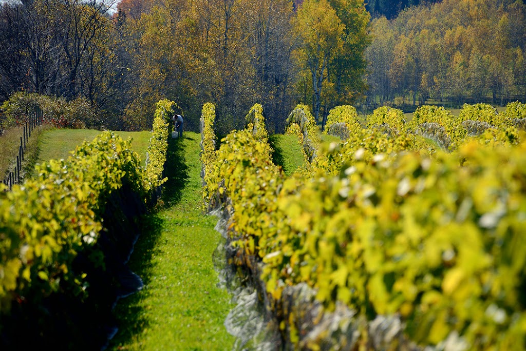 The Valleys of Wadleigh | 186 QC-143, Ulverton, QC J0B 2B0, Canada | Phone: (819) 826-3334