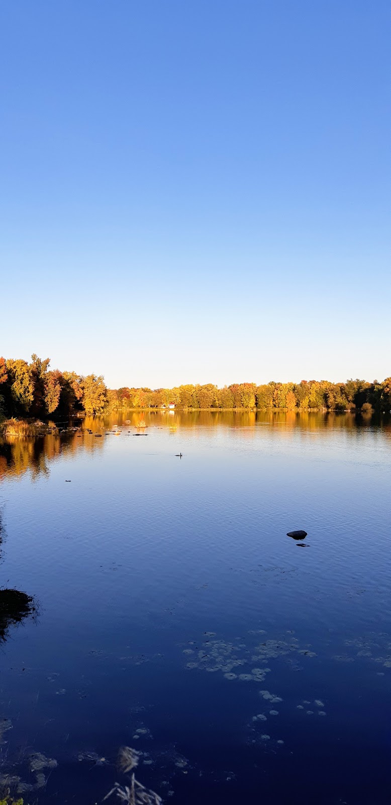 Trent-Severn Waterway, Lock 7 - Glen Ross | 3, 29 McGuire Ln, Frankford, ON K0K 2C0, Canada | Phone: (613) 398-7659