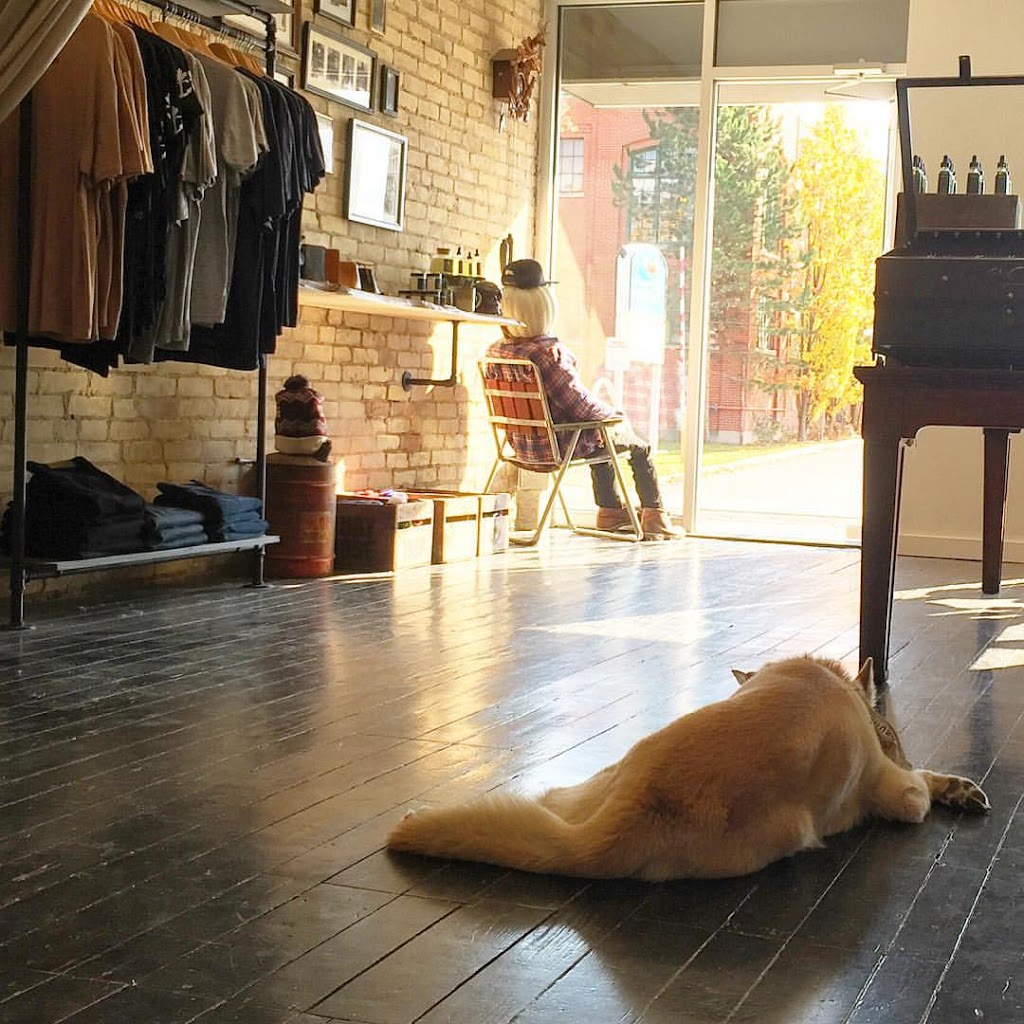 Illbury + Goose | 884 Dundas St, London, ON N5W 3A1, Canada | Phone: (519) 601-0884