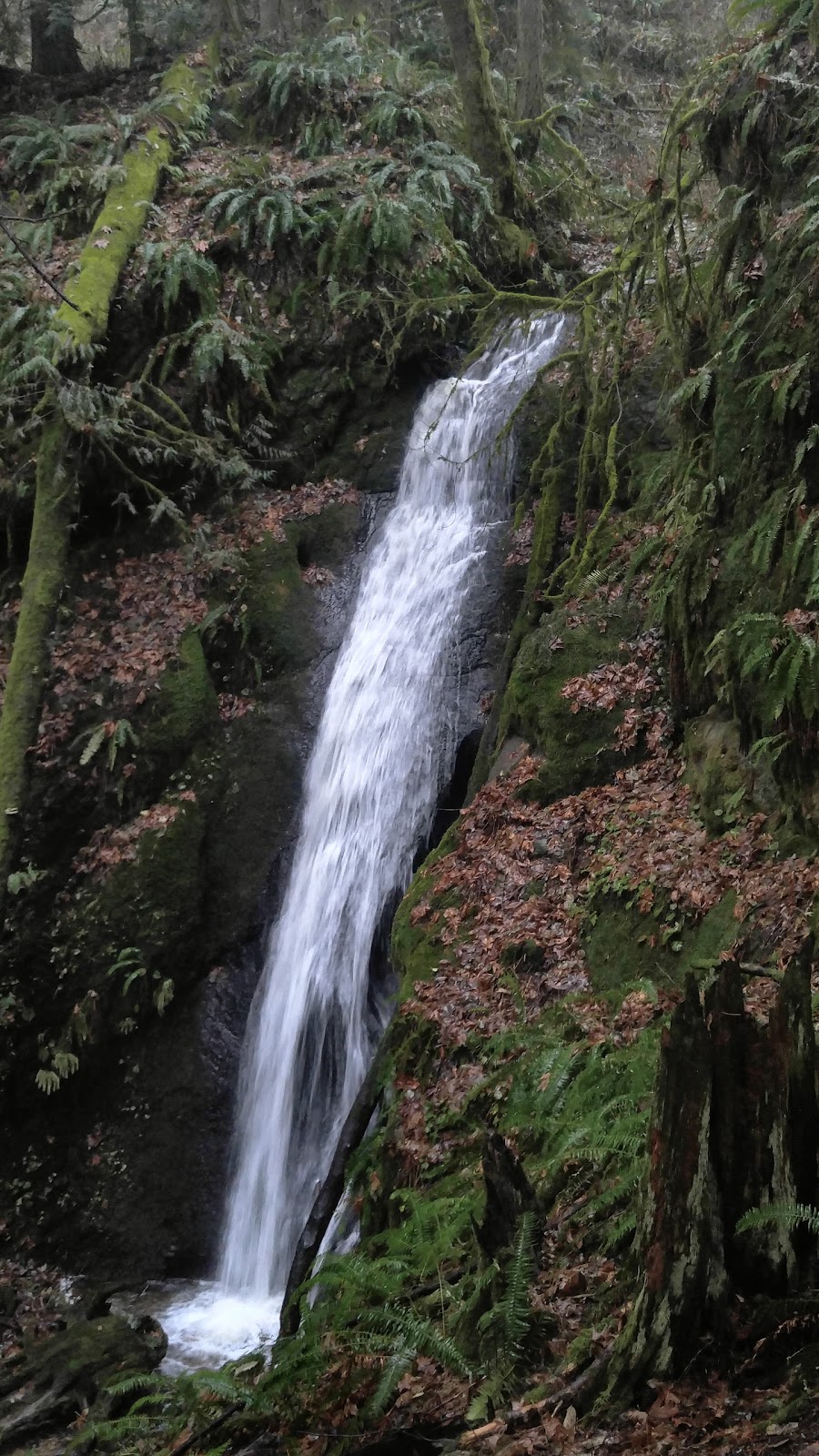 North Chuckanut Mountain Trailhead | 1467 Chuckanut Dr, Bellingham, WA 98229, USA | Phone: (360) 778-5850