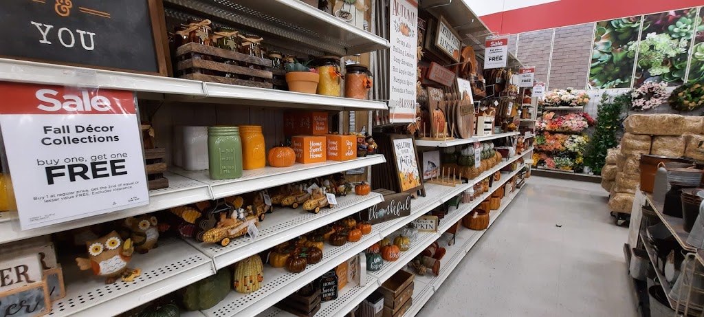 Michaels | 4339 Walker Rd, Windsor, ON N8W 3T6, Canada | Phone: (519) 972-5488