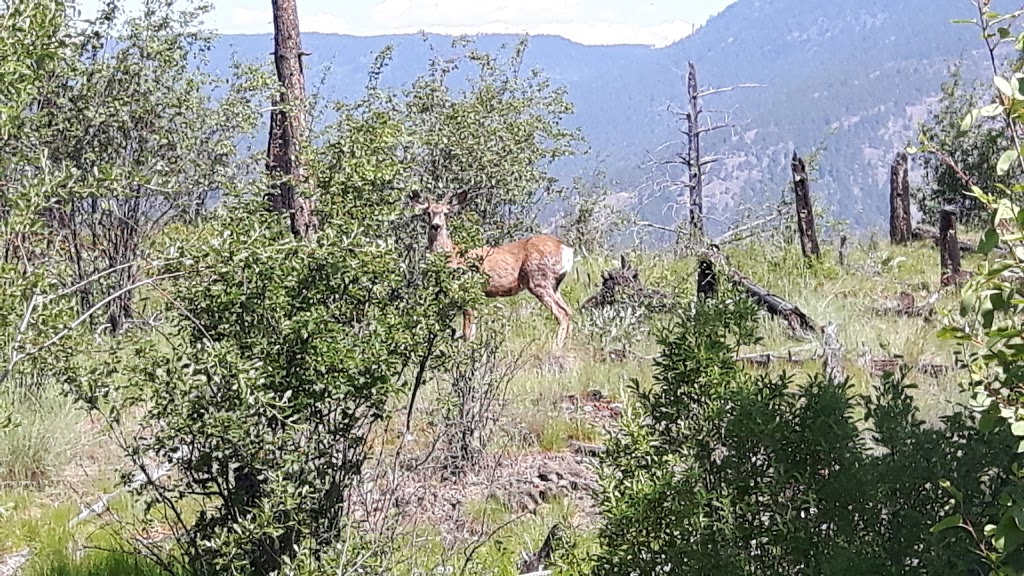 Eain Lamont Park | Lakeview Cove Rd, West Kelowna, BC V1Z 3P6, Canada