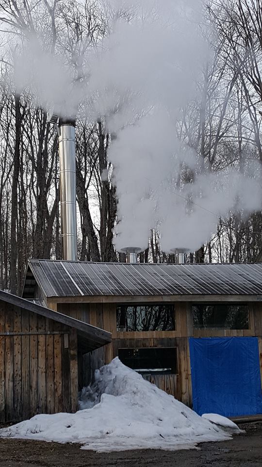 Rileys Northern Gold | 1011 Hard Wood Ln, Wilberforce, ON K0L 3C0, Canada | Phone: (705) 448-2669