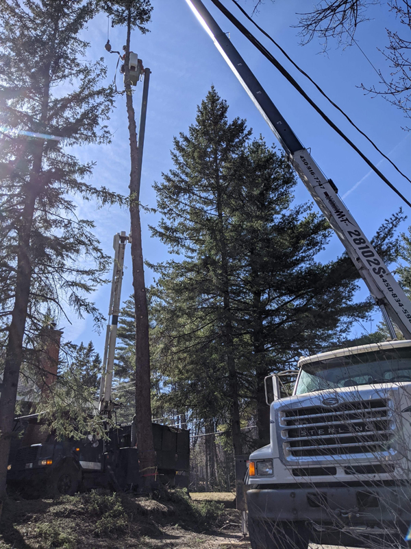 Service de Grues MT | 91 Rue Principale, Saint-Faustin-Lac-Carré, QC J0T 1J2, Canada | Phone: (450) 916-7747