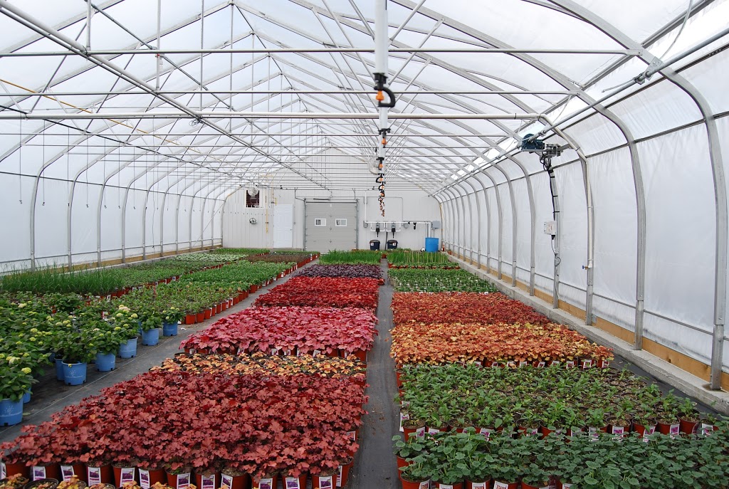 Pépinière Abbotsford | 605 Rue Principale, Saint-Paul-dAbbotsford, QC J0E 1A0, Canada | Phone: (450) 379-5777