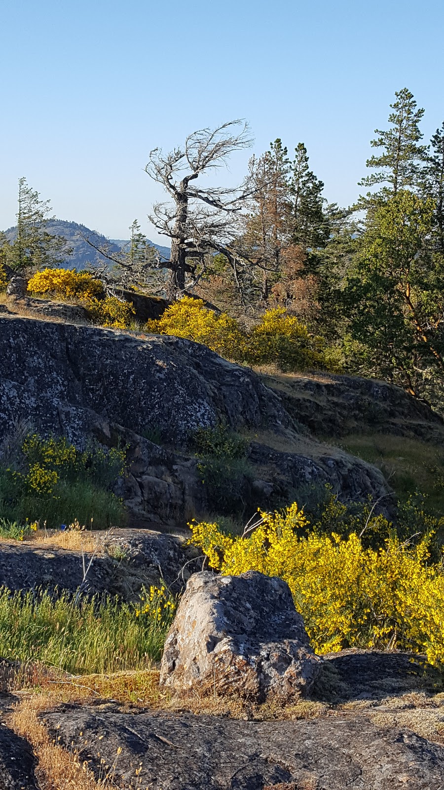 Mt Wells Park | Humpback Rd, Victoria, BC V9B 6B1, Canada | Phone: (250) 360-3000