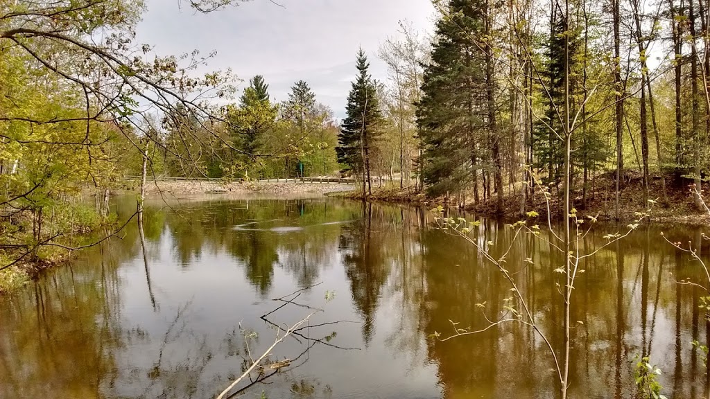 Abbaye Val Notre-Dame | 250 Chemin de la Montagne-Coupée, Saint-Jean-de-Matha, QC J0K 2S0, Canada | Phone: (450) 960-2889