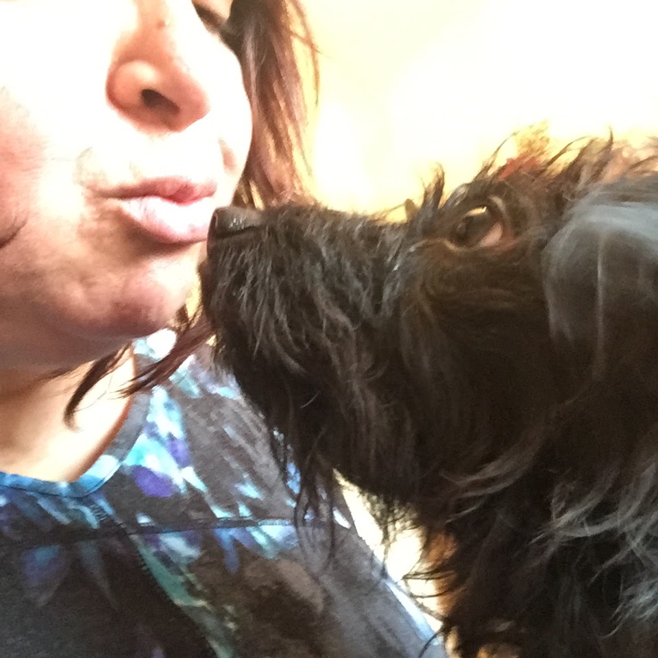 Hand and Paw Healing | 840 Beach Blvd, Hamilton, ON L8H 6Z4, Canada | Phone: (905) 484-3668