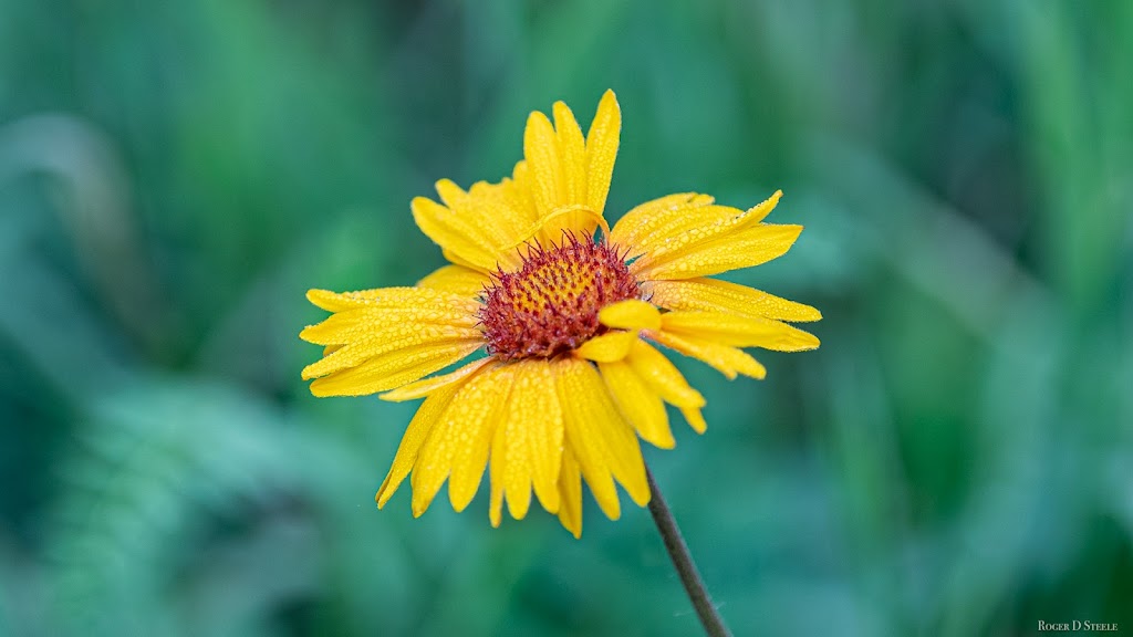 Kerry Wood Nature Centre | 6300 45 Ave, Red Deer, AB T4N 3M4, Canada | Phone: (403) 346-2010
