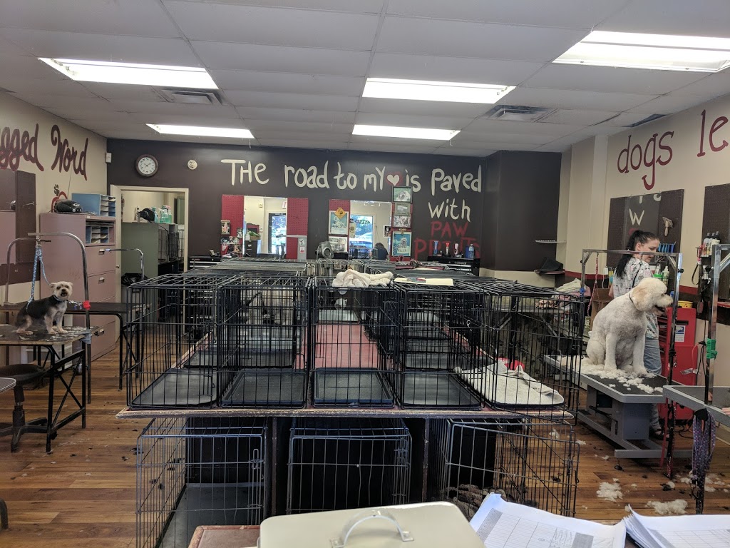 Gone With The Dogs | 2 Glenabbey Dr, Oshawa, Courtice, ON L1E 1C1, Canada | Phone: (905) 404-8746