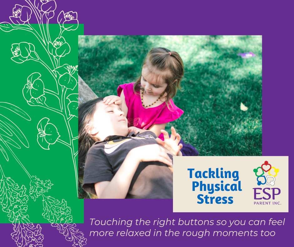 ESP Parent Inc | 4044 Lake Ave, Peachland, BC V0H 1X6, Canada | Phone: (250) 215-5524