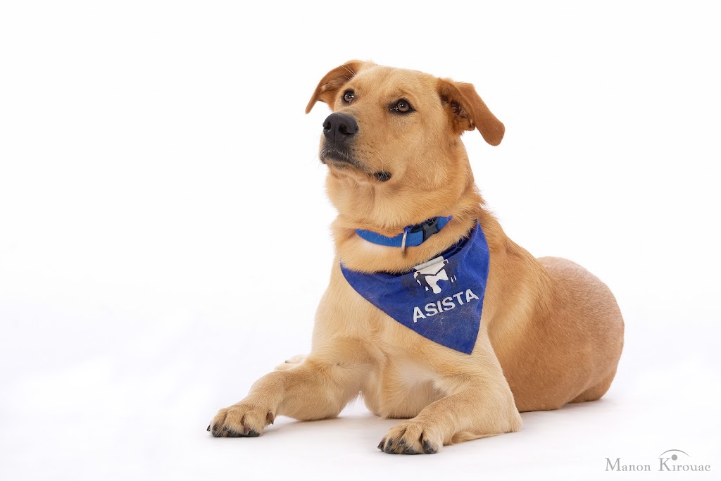 Fondation Asista / Asista Foundation | 4530 Autoroute 440, Laval Québec, Laval, QC H7T 2P7, Canada | Phone: (450) 781-1200 ext. 3031