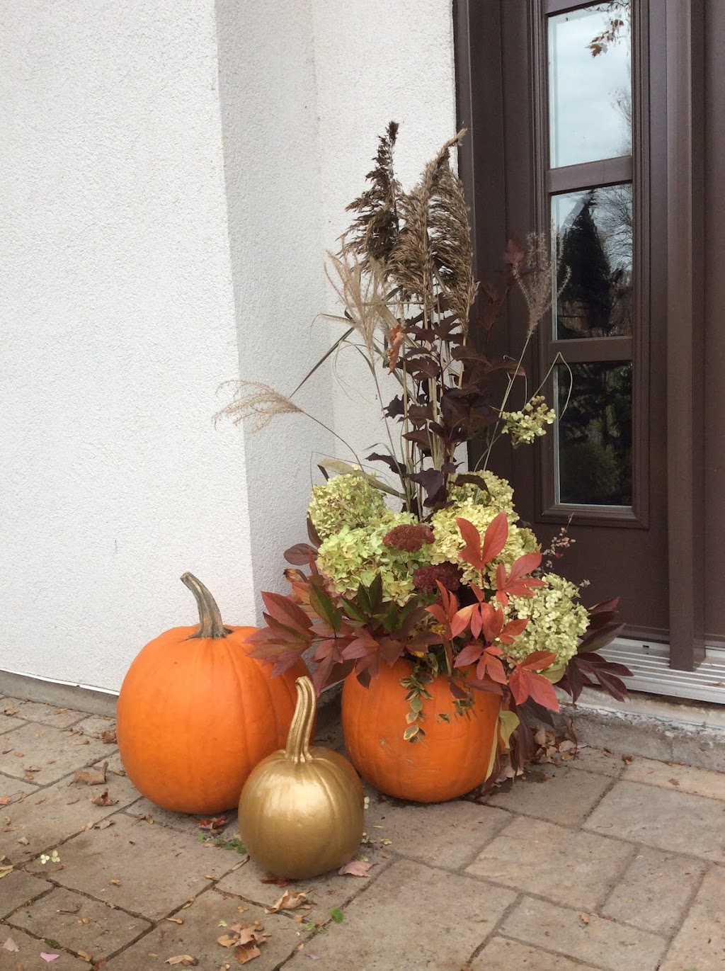 À Fleurs de Pot | 1930 Rue de lInterlude, Québec, QC G3K 0R6, Canada | Phone: (418) 845-4141