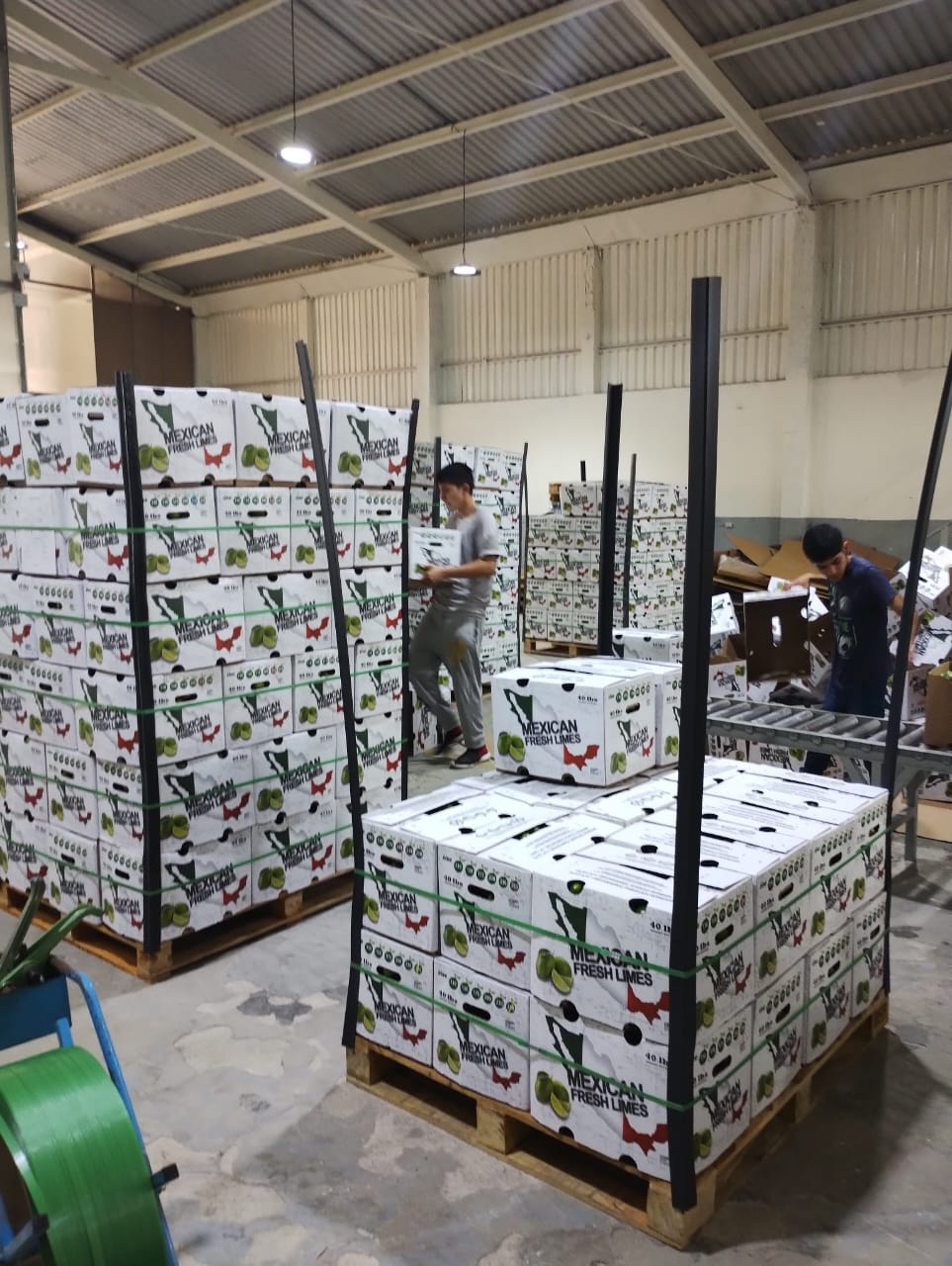 OHMEX PRODUCE | N/A, Vaughan, ON L4K 5H1, Canada | Phone: (647) 765-9477