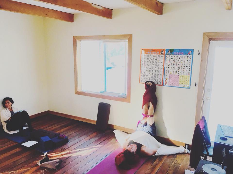 Open Source Yoga | 5137 Columbia St, Van Anda, BC V0N 3K0, Canada | Phone: (778) 389-1708